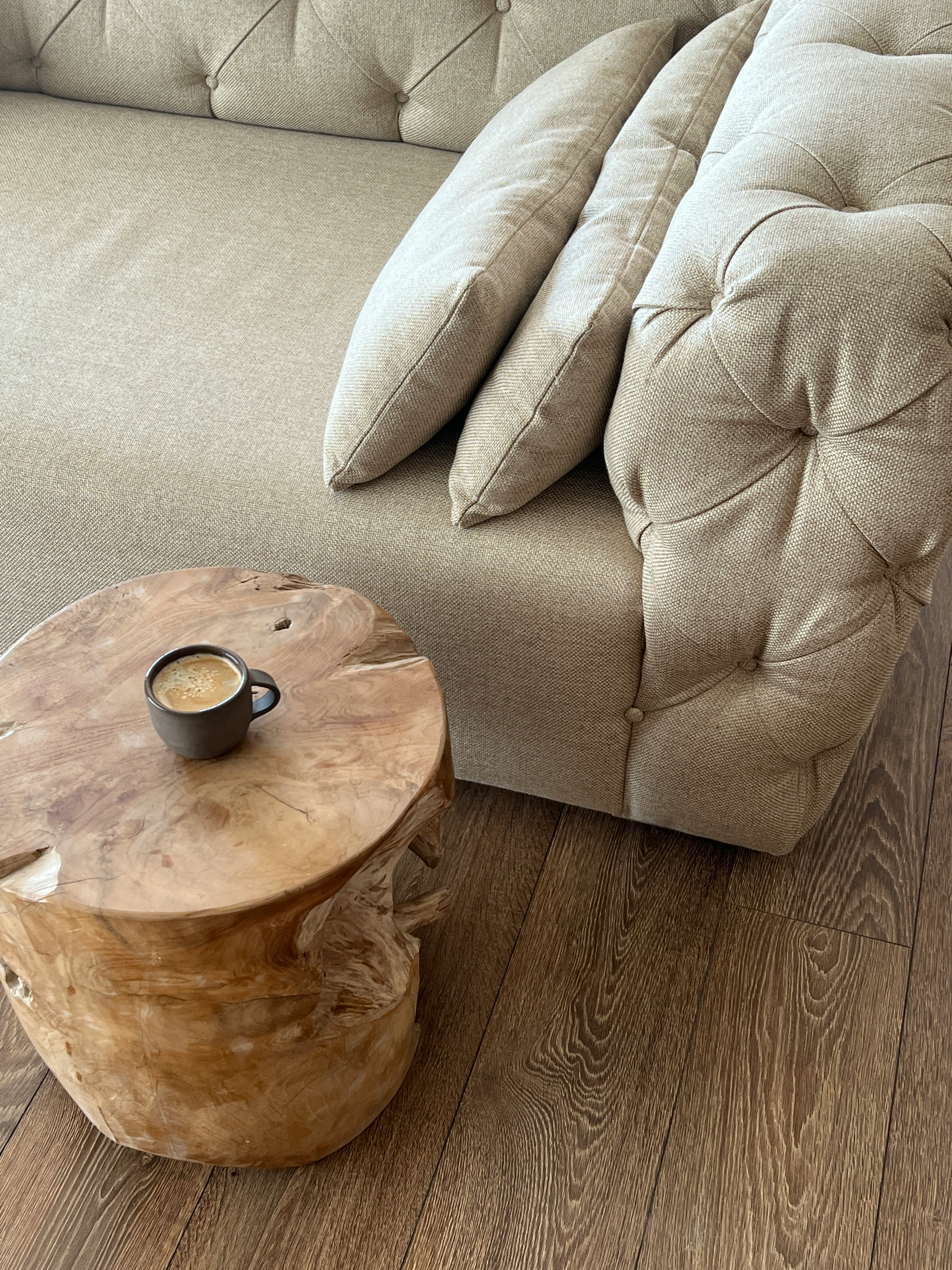 Minimalist coffee table and sofa